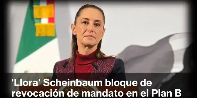 Es malo para el país: dijo